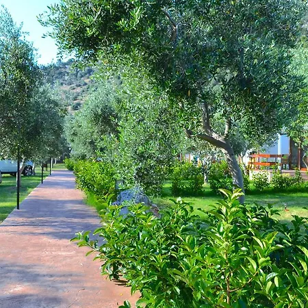 Agriturismo Antichi Ulivi Villa Mattinata Esterno foto