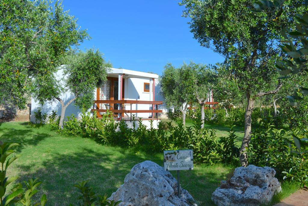 Antichi Ulivi