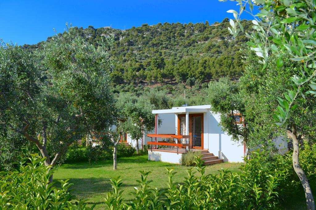 Farm stay Antichi Ulivi Mattinata
